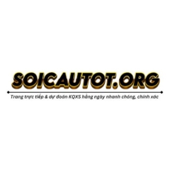 soicautotorg
