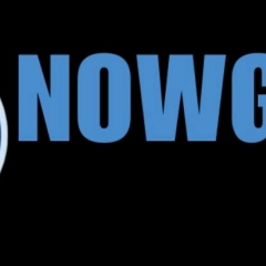 nowgoaltel1