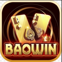 baowin1org1
