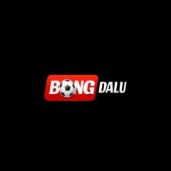 bongdalusolar1