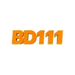 bd111art