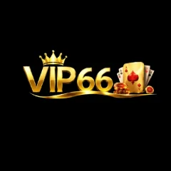 vip66vnnet1