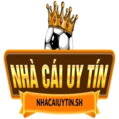 nhacaiuytinsh2