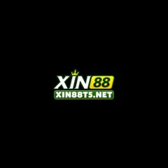 xin88t5net