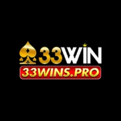 33winspro1