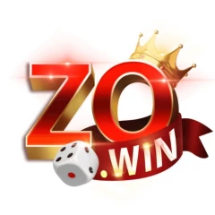 Zowin Playcom