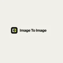 imagetoimage