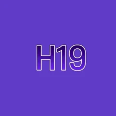 h19site