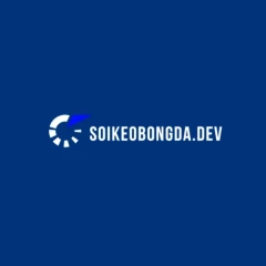 Soikeobongdadev