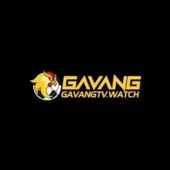    Gavang    tv 