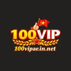 100Vipaeinnet
