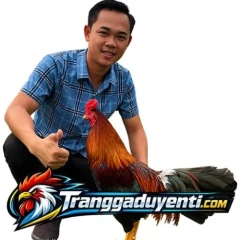 traigaduyenti