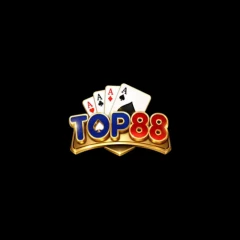 top88accountant
